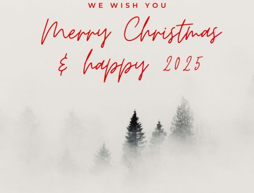 WordsOn Language Services. Happy Christmas.