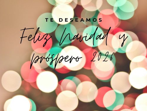 El equipo de WordsOn Traducciones te desea una feliz Navidad y un 2026 lleno de grandes proyectos.